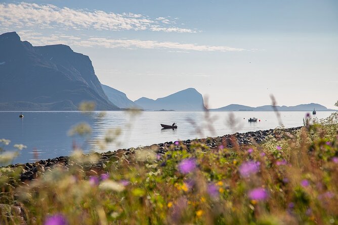 Arctic Landscapes Hiking, Sightseeing & Snowshoeing Private Tour - Viewpoints, fjords, and the value of a flexible route