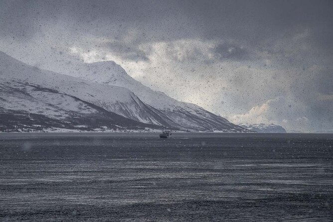 Arctic Landscapes Hiking, Sightseeing & Snowshoeing Private Tour - Hot soup after time in the cold