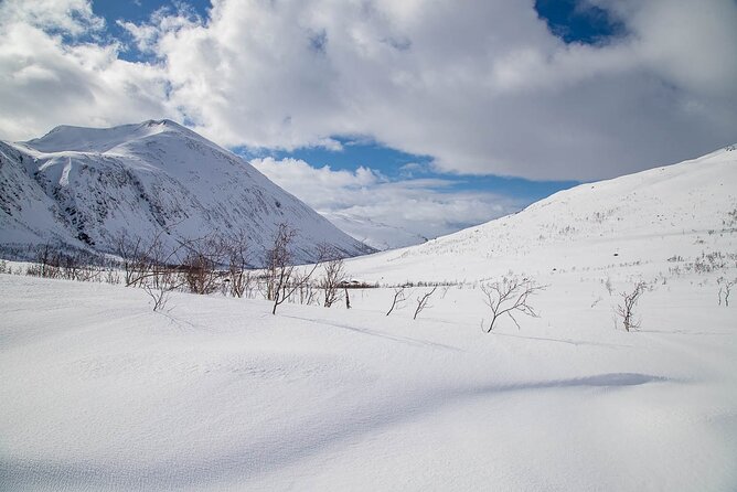 Arctic Landscapes Hiking, Sightseeing & Snowshoeing Private Tour - Nico as guide, driver, and photographer