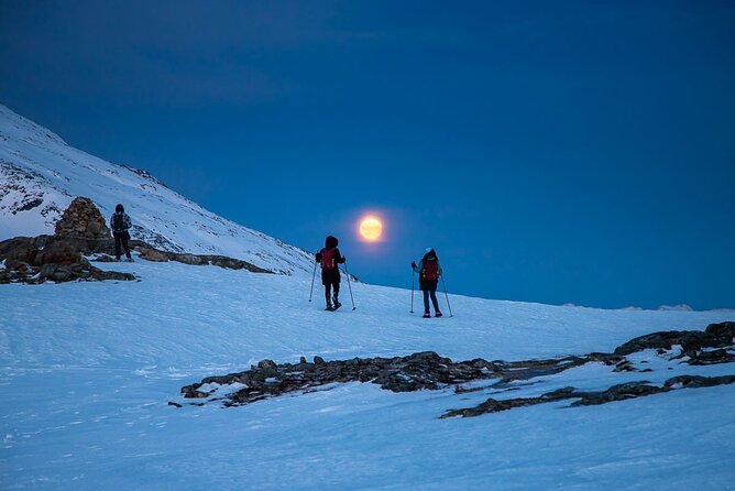 Arctic Landscapes Hiking, Sightseeing & Snowshoeing Private Tour - Choosing between a walk, light hike, and snowshoes
