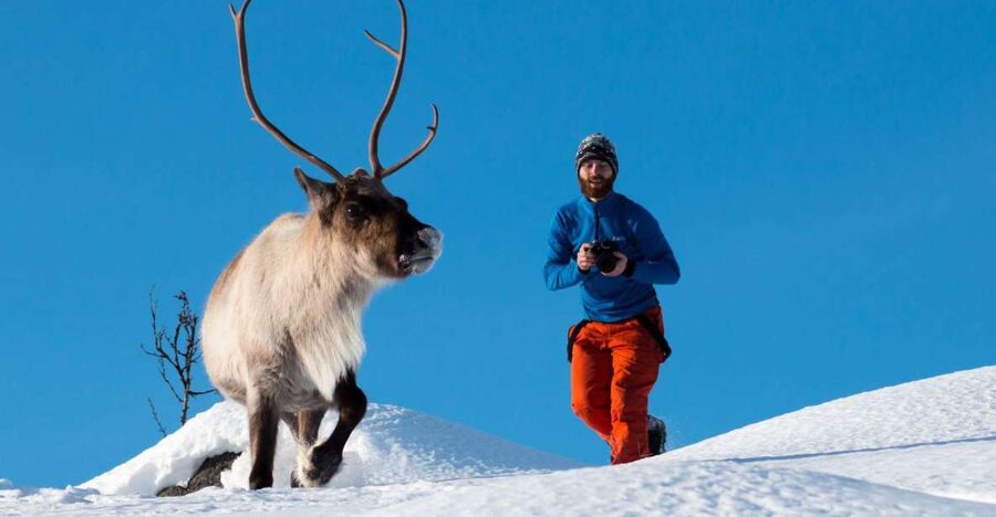 Arctic Nature Tour from Tromsø - Photo stops, beaches, and fjord views