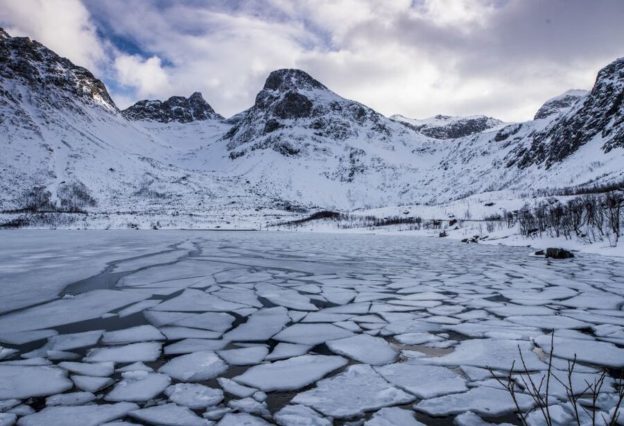 Arctic Nature Tour from Tromsø - Wildlife requires luck and patience