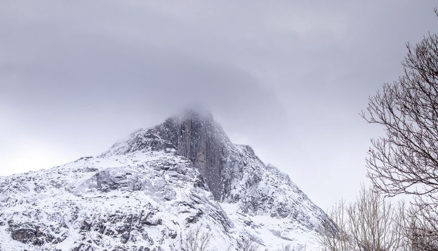 Arctic Nature Tour from Tromsø - A warm break with pastries and hot drinks