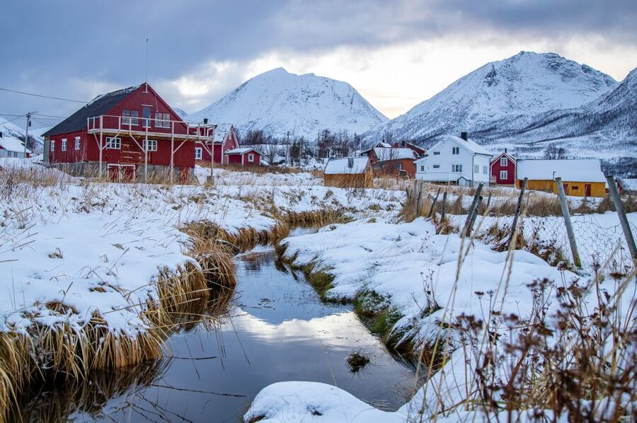 Arctic Nature Tour from Tromsø - Is $142 a fair price?