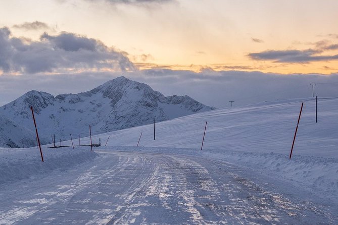 Arctic Nature Tour from Tromsø by minibus - The guide can make or break the day