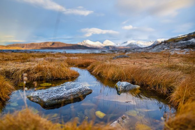 Arctic Nature Tour from Tromsø by minibus - A warm pause with pastries and hot chocolate