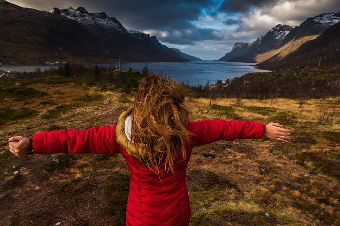 Arctic Nature Tour from Tromsø by minibus - Who will enjoy this Kvaløya trip?
