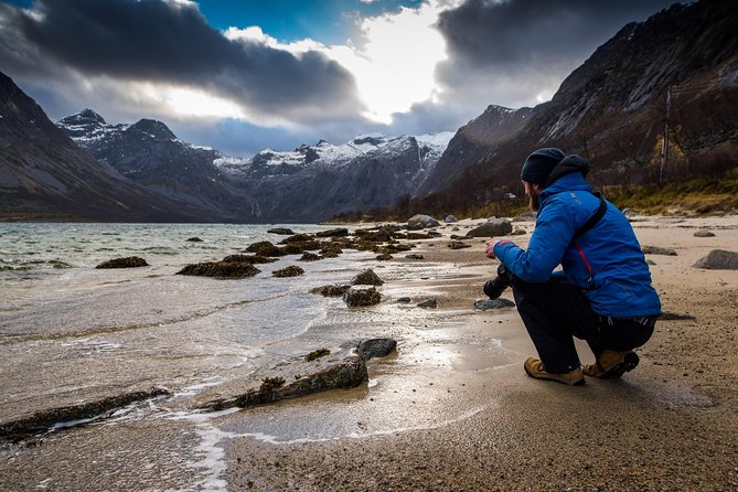 Arctic Nature Tour from Tromsø by minibus - Fjords, mountains, and Arctic beaches