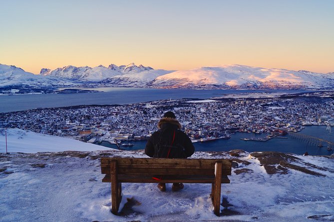 Arctic Panorama cable car excursion - Who will enjoy this excursion most