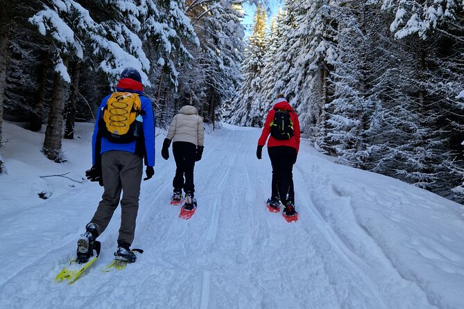 Arctic Snowshoe Hike in Norway - What the four-hour outing is really like