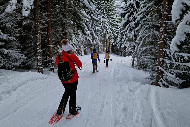 Arctic Snowshoe Hike in Norway - Who will enjoy this most?