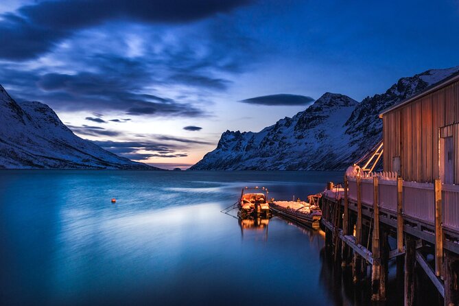 Arctic Wildlife and Fjord Sightseeing - Key things to know before you book