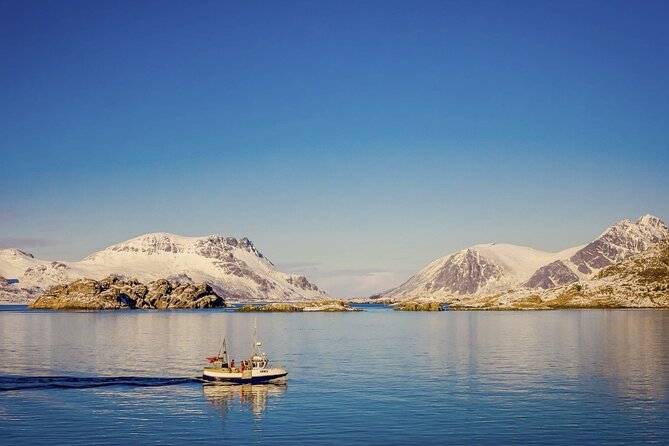 Arctic Wildlife and Fjord Sightseeing - From Tromsø to Kvaløya, the Arctic begins quickly