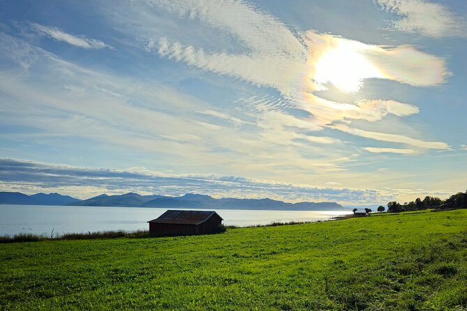 Arctic Wildlife and Fjord Sightseeing - Sandneshamn and the road to Sommarøy