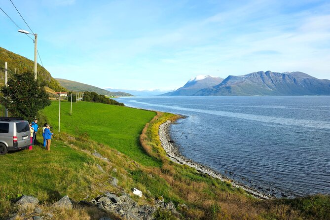 Arctic Wildlife and Fjord Sightseeing - Brensholmen shows the quieter side of the coast
