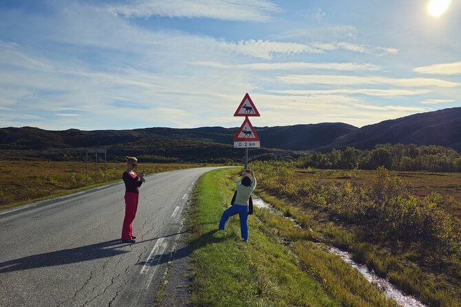 Arctic Wildlife and Fjord Sightseeing - Straumen Farm connects the fjords to daily life