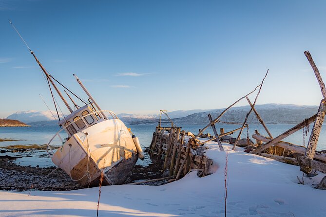 Arctic Wildlife and Fjord Sightseeing - Bryggejentene adds coffee and a little coastal character