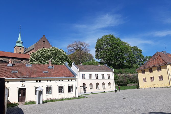 Art and Museum Tour of Oslo - Bygdøy and the choice between Viking ships and polar travel