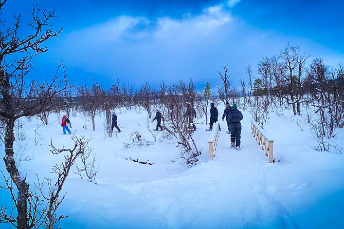 Aurora Crystal Lavvo Overnight with Activities from Tromsø - Spending the night in a crystal lavvo