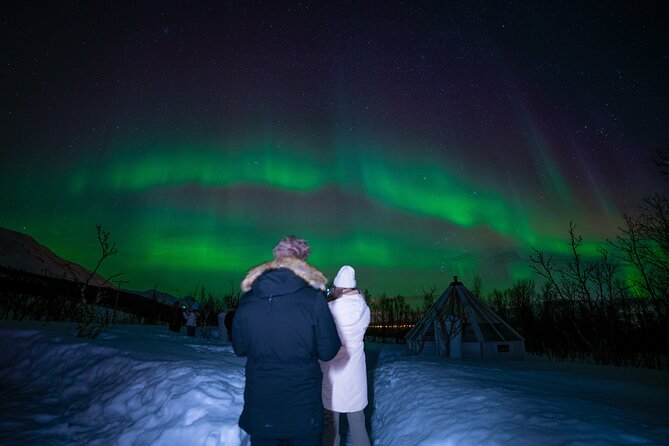 Aurora Crystal Lavvo Overnight with Activities from Tromsø - The morning return to Tromsø