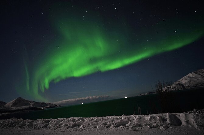 AURORA DAİLY Northern Lights Safari Tour 8 Guests with PİCKUP - The hard truth about seeing the Northern Lights