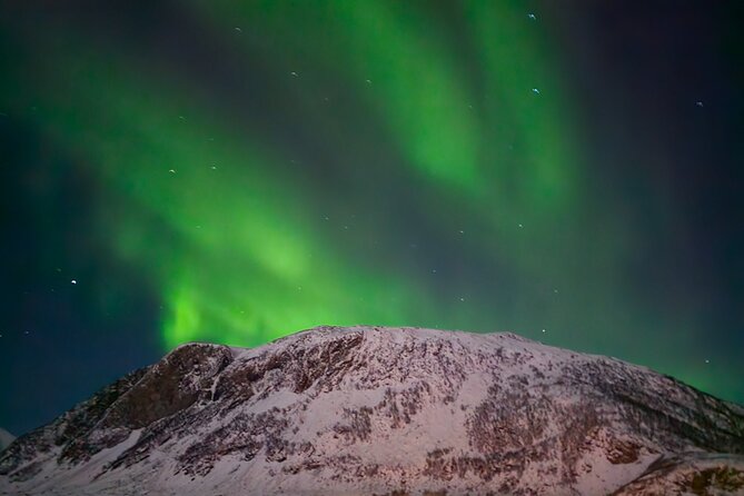 AURORA DAİLY Northern Lights Safari Tour 8 Guests with PİCKUP - Is $290.10 a fair price?