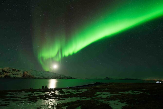 Aurora Hunt with Professional Photographer from Alta - Key points at a glance