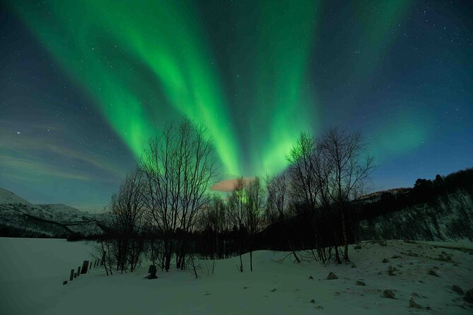 Aurora Hunt with Professional Photographer from Alta - Is $1,145 a fair price?