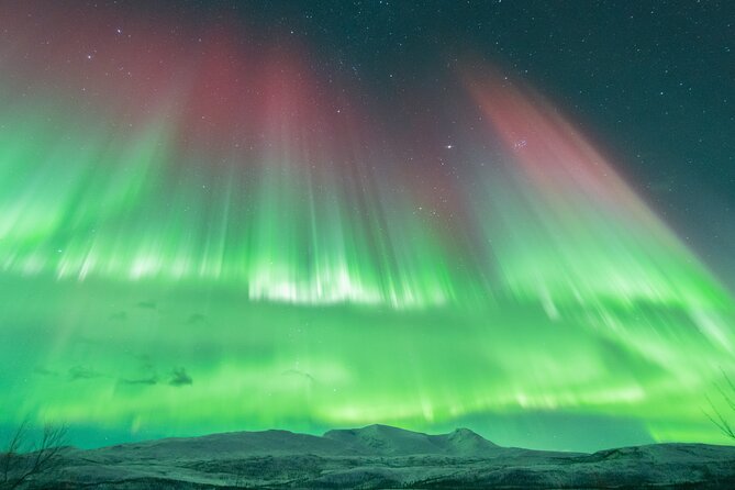Aurora Hunt with the campfire and professional photographer - Group size and meeting point