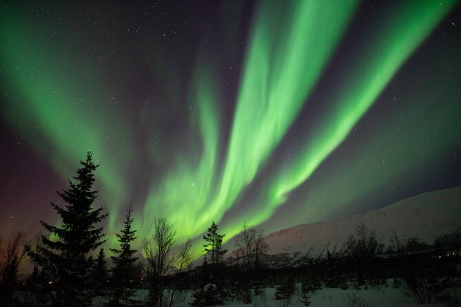 Aurora Safari Chase by big bus, free Photos, toilet onboard - The Northern Lights chase begins in central Tromsø