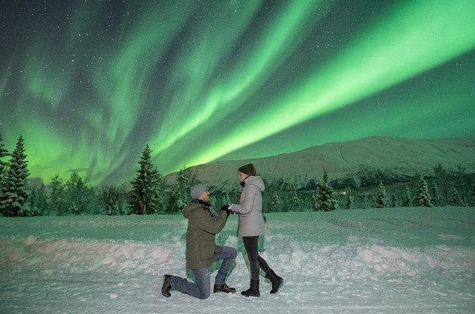 Aurora Safari Chase by big bus, free Photos, toilet onboard - Price, group size, and who gets good value