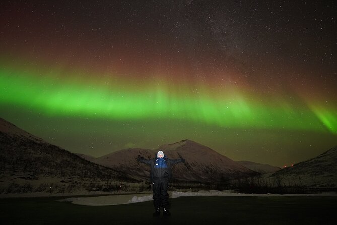 Aurora tour with free portrait and bonfire - At a glance