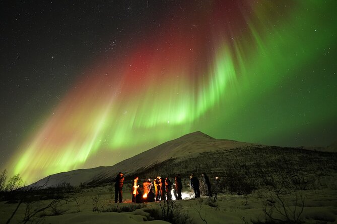 Aurora tour with free portrait and bonfire - Chasing clear skies beyond Tromsø