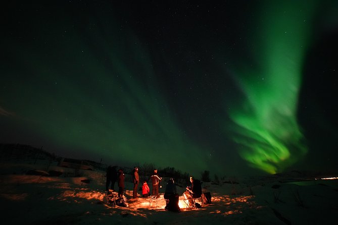 Aurora tour with free portrait and bonfire - Guides who keep the night moving