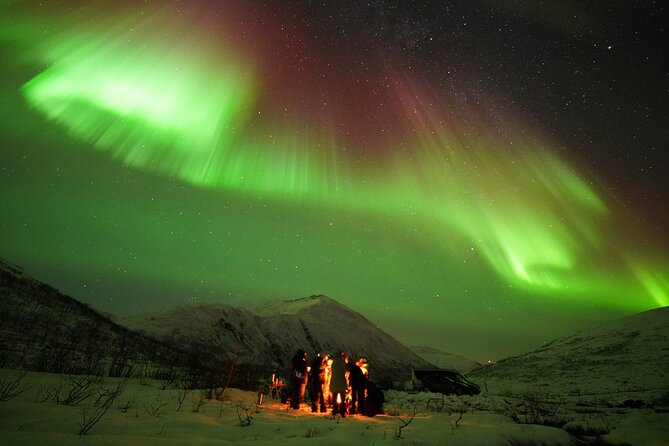 Aurora tour with free portrait and bonfire - The price: what $177.60 buys you