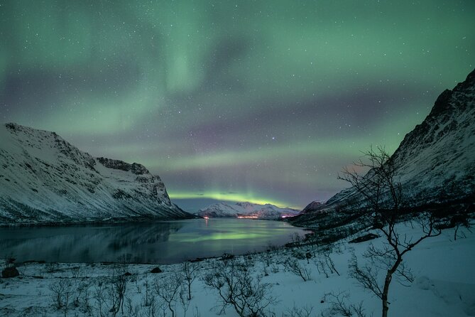 Auroras Hunt - Tour in Spanish, Northern Lights Chase in Spanish - What the $243.65 price includes