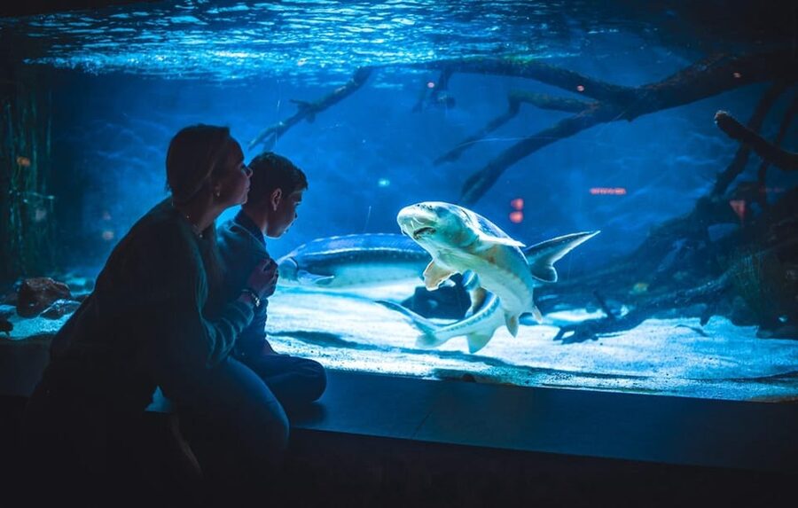 Bergen: Bergen Aquarium Entry Ticket - A City Aquarium With More Inside Than Outside