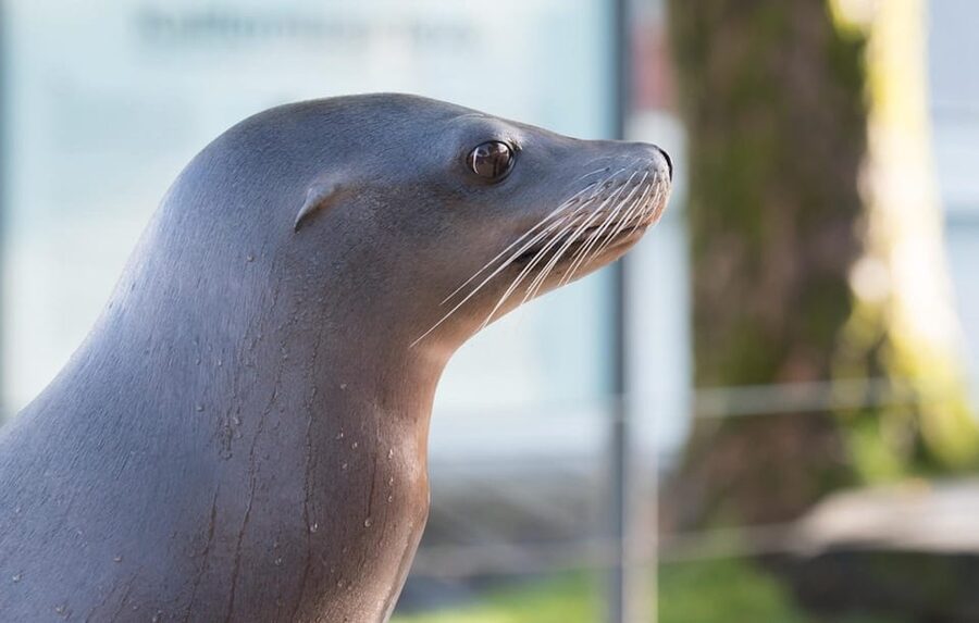 Bergen: Bergen Aquarium Entry Ticket - What You See on the Main Visit