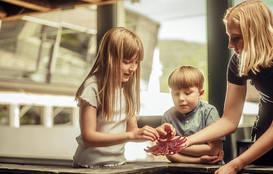 Bergen: Bergen Aquarium Entry Ticket - Feedings and Presentations Make the Timing Matter