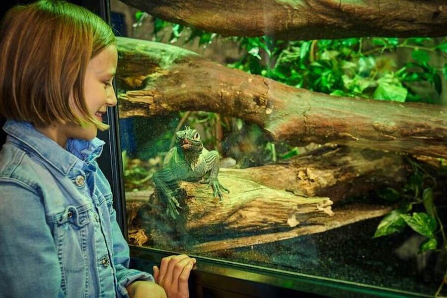 Bergen: Bergen Aquarium Entry Ticket - Opening Hours and Best Time to Go