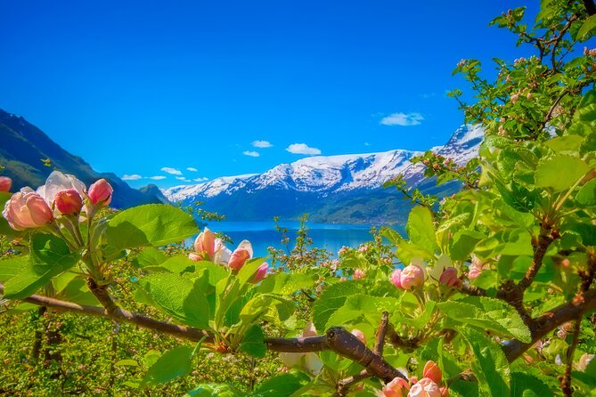 Bergen Beyond Day trip - The village and Salthammeren carvings