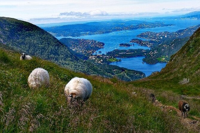 Bergen Classic Private hiking - Vidden is about the middle of the day