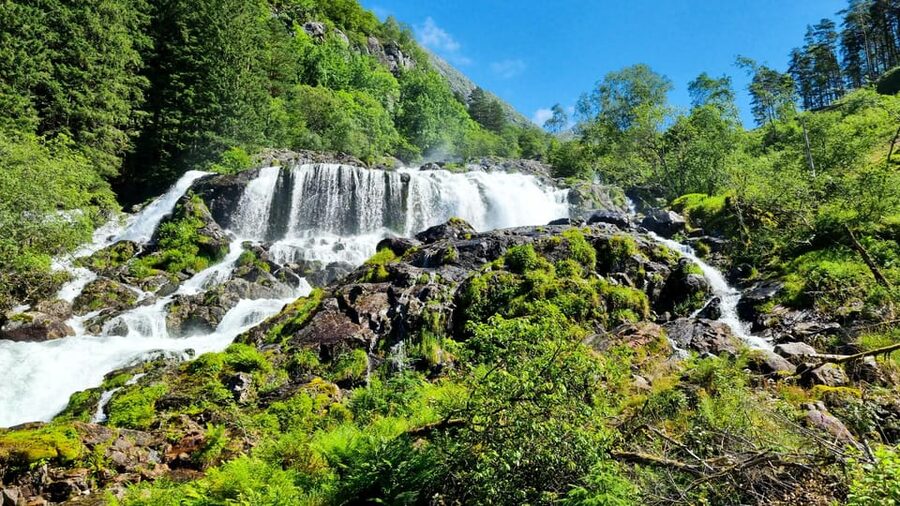 Bergen: Cruise to beautiful Rosendal by the Hardangerfjord - Key points to know before you book