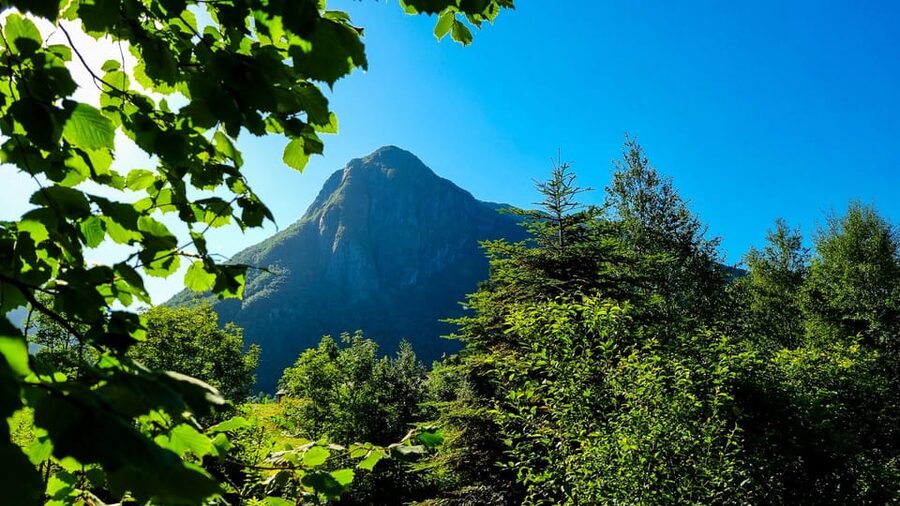 Bergen: Cruise to beautiful Rosendal by the Hardangerfjord - Is $91 a fair price?