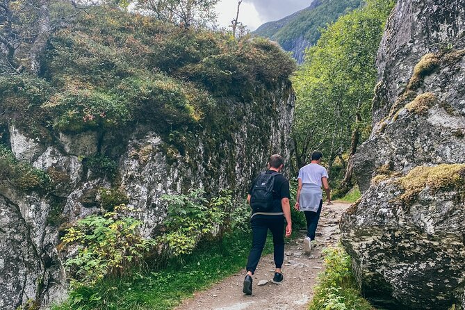 Bergen Day Tour to National Park Folgefonna and Glacier Lake - The Hardangerfjord ferry crossing