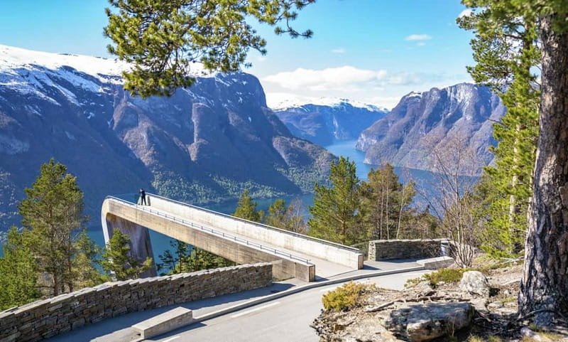 Bergen: Flam Railway, Stegastein and Fjord Cruise Day Tour - Key points at a glance