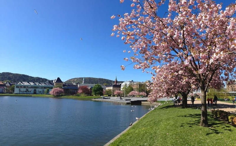 Bergen: Flam Railway, Stegastein and Fjord Cruise Day Tour - Cruising Nærøyfjord for two hours