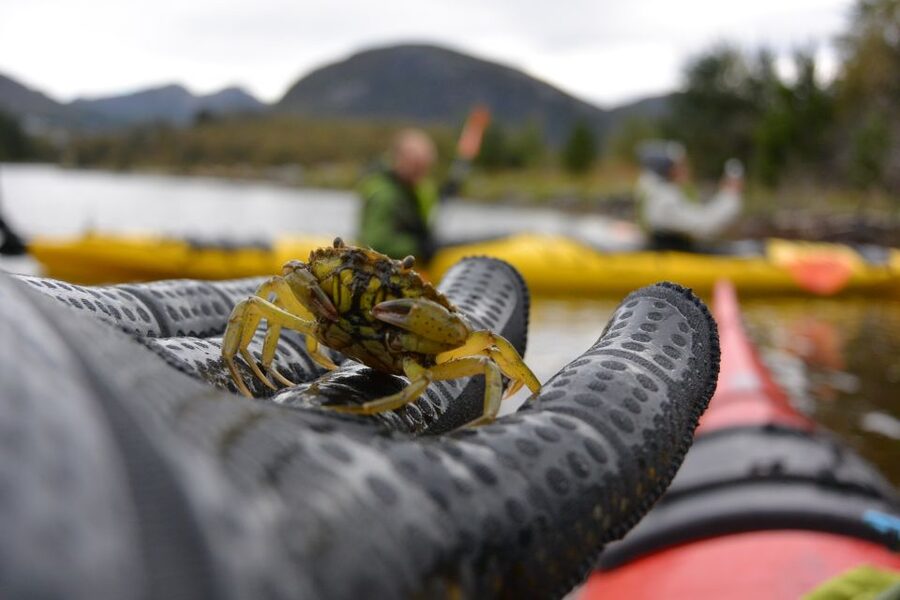 Bergen: Guided Fishing Tour with Outdoor Cooking - The scenery is part of the experience
