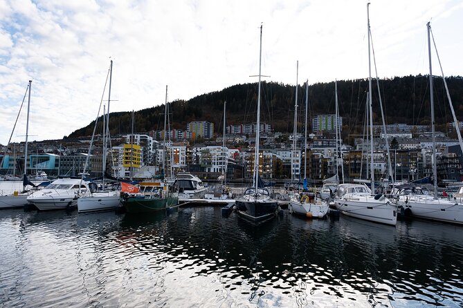 Bergen: Guided Tour by Minibus with Local Guide & Photostops - Why a minibus is a smart way to see Bergen