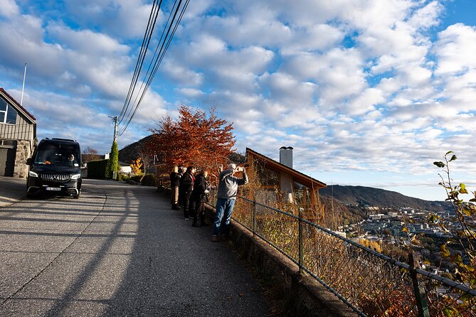 Bergen: Guided Tour by Minibus with Local Guide & Photostops - City-center landmarks from Torgallmenningen to Nygårdsparken
